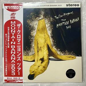 ザ・クロマニヨンズツアー2023 アナログ盤のみ(CD・DVD無)