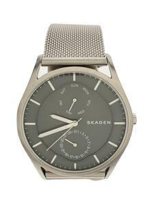 SKAGEN◆クォーツ腕時計/アナログ/SKW6383