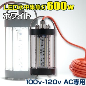 水中集魚灯 100v AC専用 ホワイト 集魚灯 高出力 600w 78000LM トビウオ シラスウナギ 水中ライト イカ釣り アジ 集魚ライト 漁船 LED