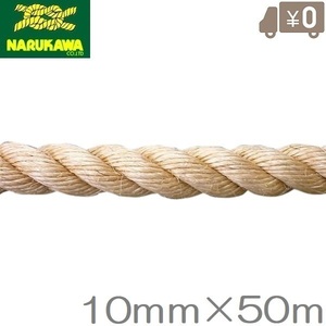 麻ロープ 10mm×50m 麻縄 マニラロープ 染めサイザルロープ 麻紐 太 生川