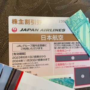 JAL 日本航空 株主優待券　1枚　海外旅行商品／国内旅行商品割引券