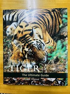 【洋書】Tiger: The Ultimate Guide 英語版　トラの写真集　虎　タイガー　※追跡サービスあり