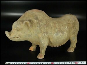 【金閣】中国美術 古代 加彩 猪 置物 高22cm 旧家蔵出(HA123)