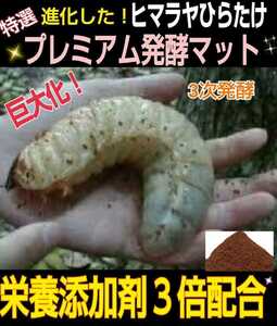 進化した！プレミアム3次発酵カブトムシマット☆特殊アミノ酸など栄養添加剤を3倍配合！トレハロース、ローヤルゼリー強化☆微粒子仕上げ！