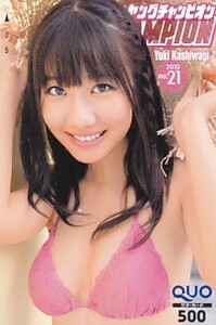 ■H20 AKB48 柏木由紀 ヤングチャンピオン QUOカード500円 9