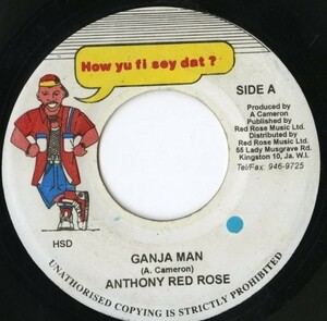 JAMAICA盤 7インチ Anthony Red Rose / Ganja Man【How Yu Fi Sey Dat ?・MSC 325954】Steely & Clevie ダンスホール DANCEHALL 45RPM.