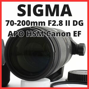 D25/5659B-25 / シグマ SIGMA APO DG 70-200mm F2.8 II MACRO HSM キャノン Canon EF マウント用