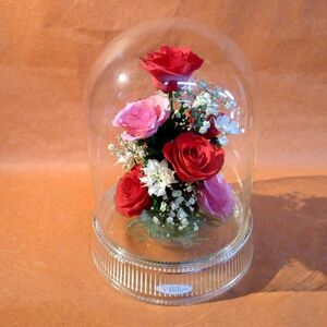 i568 薔薇 バラ 造花 ハンドクラフト インテリア 飾り 置物 ８本 ガラスドーム サイズ:直径約19cm 高さ約24cm/100