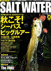 ソルトウォーター　2015年12月号　秋こそシーバス ビッグルアー 【雑誌】