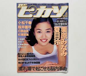 d188★ Dr.ピカソ 【小松千春】ドクターピカソ / 1996年 10月号　NO.19 / 英知出版/