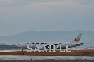 D【航空機写真】Ｌ版３枚　日本航空　B777-200　伊丹空港