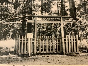 ■送料無料■ 茨城県 鹿島神宮 要石 寺 神社 鳥居 建物 建築物 景色 風景 絵葉書 古写真 写真 印刷物/くSIら/FF-2321