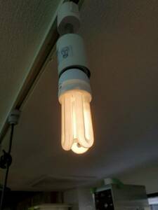M863-1　未使用品　E26　11W　電球形蛍光灯　電球　蛍光灯　照明　黄色　イエロー　カラー　ライト　20個セット　店舗/業務