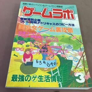 E54-040 ゲームラボ 2001.3 特集 美少女ゲーム裏攻略 三才ブックス