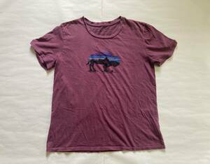 patagonia Tシャツ Mサイズ レギュラーフィット サーフ.