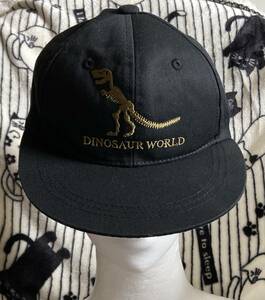 訳ありジュニア用キャップ格安でどうぞ♪「Aurelia KOBE」【Dinosaur World】キャップCAP帽子/54cm/スナップバック/男女OK♪