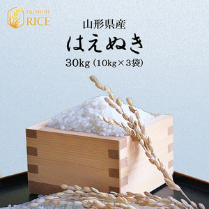 米 30kg はえぬき 山形県産 10kg×3袋 お米 送料無料 新米 玄米 白米 令和5年産 精米無料 一等米 10kg 20kg も販売中