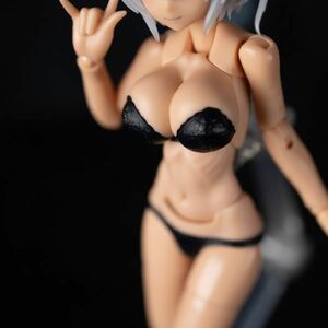 メガミデバイス レース下着(黒のみ) BODY ※改造パーツのみ※ カラーレジン 改造パーツ カスタム パーツ キット 樹脂