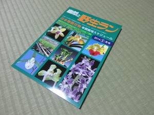 自然と野生ラン　第485号　 2014年 03月号