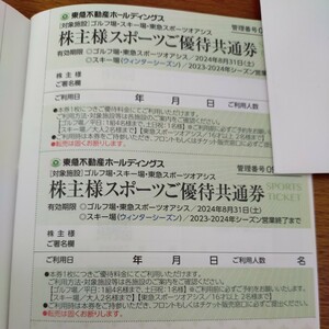 東急不動産 スポーツご優待共通券 リフト券 ２枚セット 送料63円