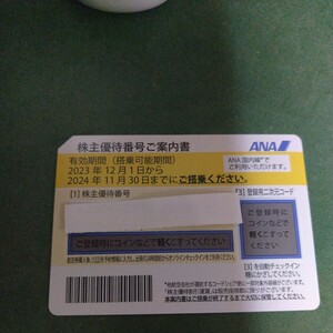 ANA株主優待　1枚　2024年11月30日まで 