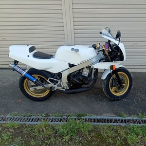 千葉君津引き取り限定NSR50中古