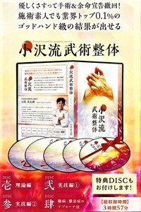 小沢真太郎の『小沢流武術整体』＋購入者限定『小沢流武術整体-極意-』小沢流の真髄 上級内臓テクニック 古武術セルフケア効果倍増多数特典