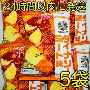 カルビー 北陸新幹線 開業記念 限定コラボ ポテトチップス ダイナソーミート味 55g × 5袋 まとめ売り 数量限定品