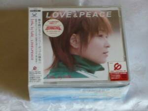 B-359 ☆キャプテンガンダムプラモデル little by little Version LOVE&PEACE