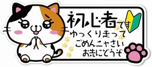 初心者 手を合わせる可愛い猫のステッカー防水仕様 看板標識のSignStore製品 安心の日本製 (初心者)