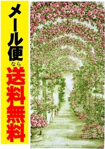 メール便送料無料　ロング暖簾　ローズガーデン　のれん１７０　目隠し　間仕切り カーテン　タペストリー　おしゃれ