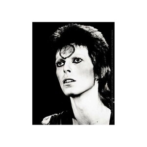 David Bowie ステッカー デヴィッド・ボウイ Black & White