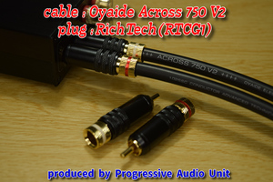 □□ Oyaide Across 750 V2＋RCA Gp_plug（RTCG1）/0.95m×2本