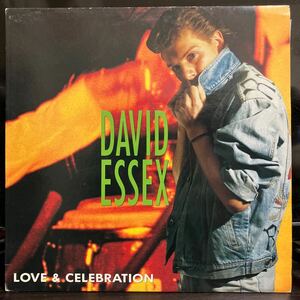 David Essex / Love & Celebration 【12inch】