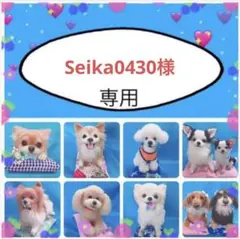 Seika0430様　オーダー専用　羊毛フェルト　犬　メモリアル