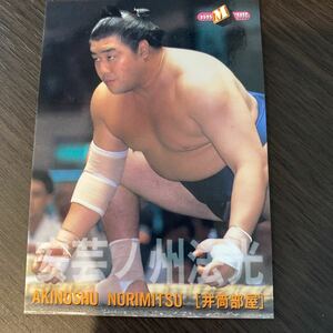 ９８BBM　５６　安芸ノ州　法光　大相撲カード