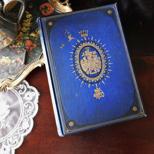 +..。*゜+ 1882年　ビーコンズフィールド伯爵の功績　イギリス王室　アンティークブック　ヴィンテージ本　洋書　古書　イギリス　