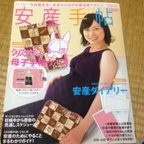 安産手帖 2008 付録2種つき 妊娠 出産 クリスタルボール