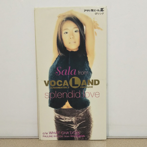 CDS◆角松敏生◆サラ from ヴォーカランド Sala from VOCALAND「スプレンディドラヴ splendid love」／Pauline Wilson◇中古8cmシングルCD