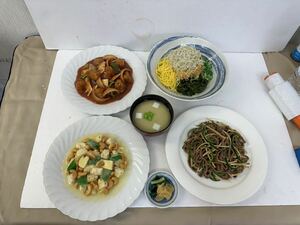 120 ★ 中古⑦ 食品サンプル 実物大 中華 酢豚 鶏とカシューナッツ炒め 味噌汁 漬物 チンジャオロース 釜揚げしらす丼 丼 6点まとめて