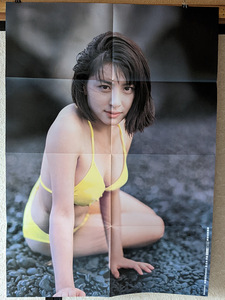 奥菜恵 八つ折りポスター 約72×51cm 