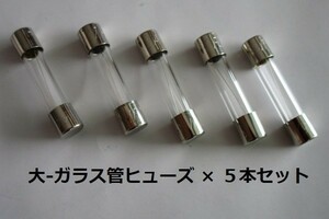 ☆　ガラス管１５A/ヒューズ ( 大 ) ×５本セット【未使用/目視チェック済み】交換用電子部品