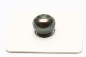 タヒチ黒蝶真珠パールルース　片穴　12mm　グリーンブラックカラー