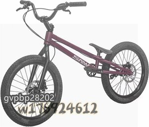 新入荷☆24インチ スタント用自転車 BMX 自転車 大人用 フロントおよびリアブレーキ付き Crmoフレームとフォーク パープル