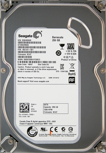 Seagate ST250DM000-1BD141-501 KC47 DP/N 0YVMKX 3.5インチ SATA600 250GB 1040回 13446時間 ジャンク