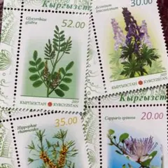 52536セール現品限り　外国切手未使用　キルギス発行植物4種揃
