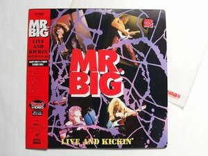 MR. BIG LIVE AND KICKIN
