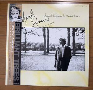 Japan/ジャパン/デヴィッドシルビアン /David Sylvian 直筆サイン入りLP Brilliant Trees