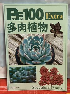 ☆Profile 100 extra 多肉植物 ピーシーズ プロファイル１００ 東山泰之 ピーシーズ