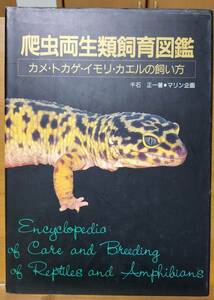 爬虫両生類飼育図鑑―カメ・トカゲ・イモリ・カエルの飼い方 1991/5/1 千石 正一 (著)